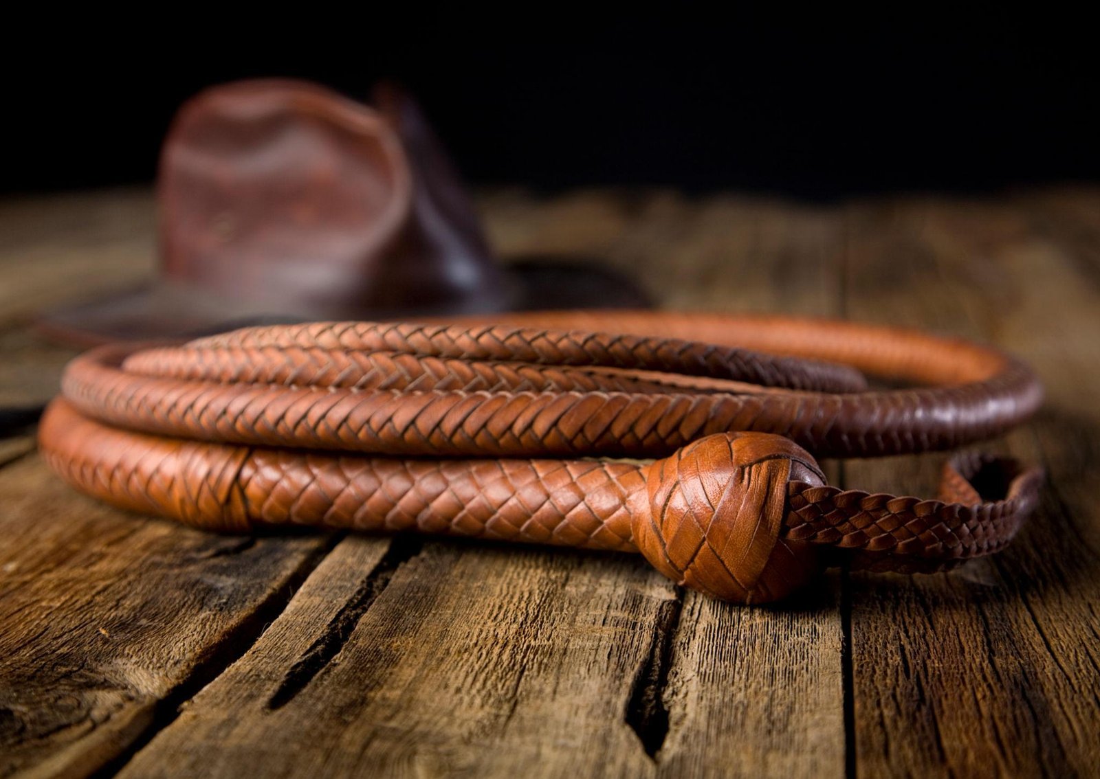 bullwhip