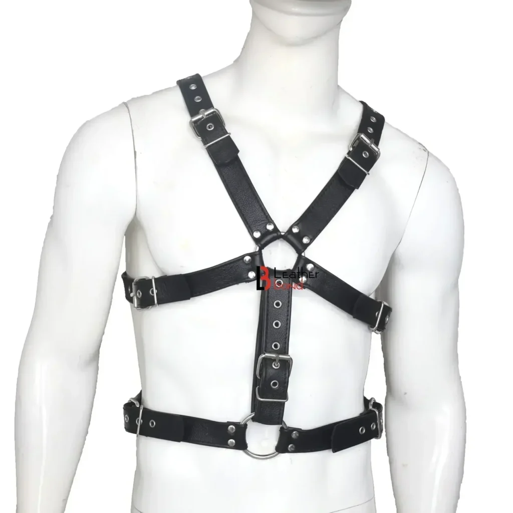 Harness
