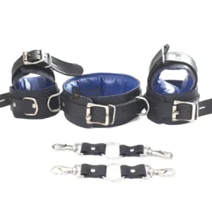 bdsm collar guide