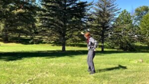 bullwhips