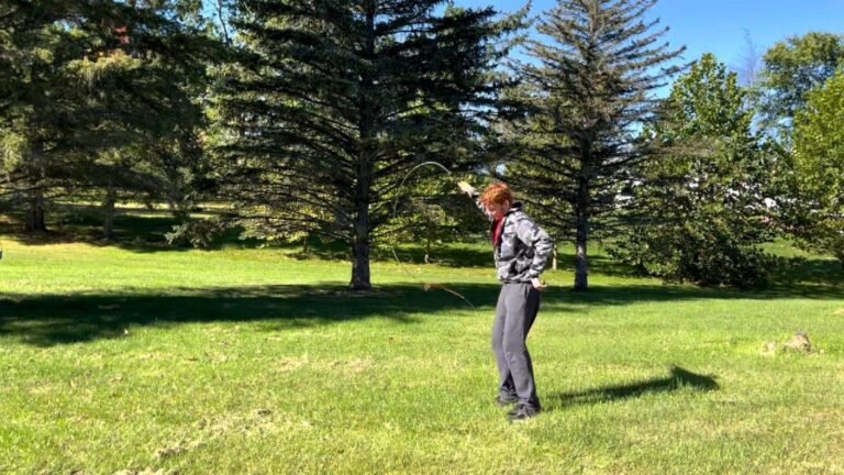 bullwhips