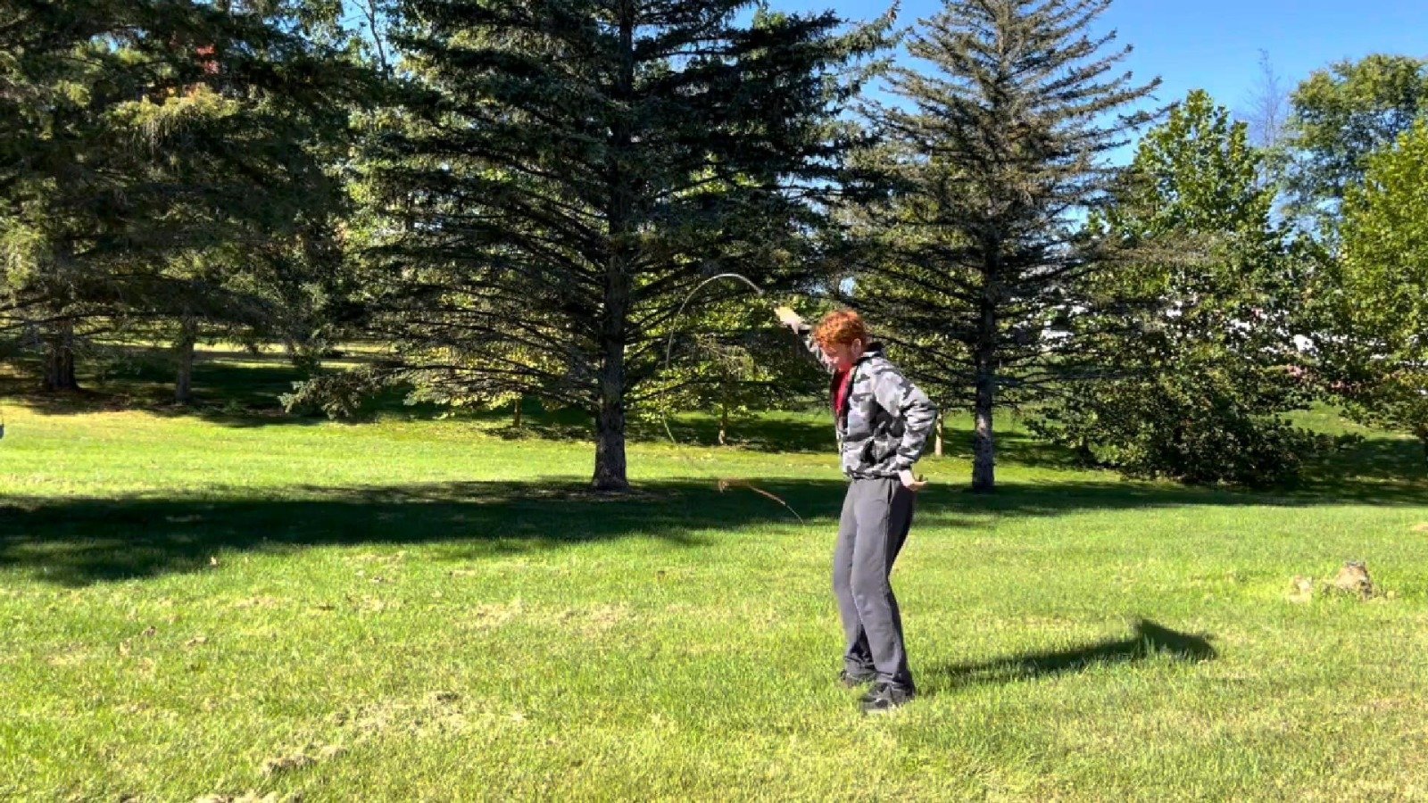 bullwhips