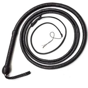 bullwhip