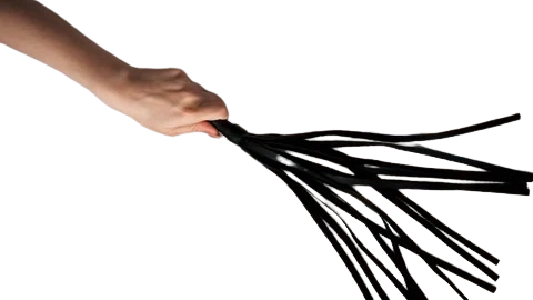 leather flogger